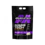 Mass Tech Extreme 2000 - 5.44 Kg - Muscletech||Gainer