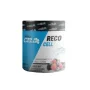 Reco Cell - 450gr - Procell|PROCELL|Acides Amines