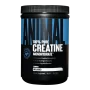 Animal Micronized Creatine - 500 Gr - Universal|Universal Nutrition|Creatine