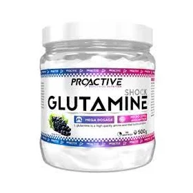 ProActive Glutamine Shock - 500 Gr - Real Pharm